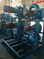 羅茨水(shui)環真空機(jī)組
