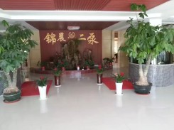 公(gong)司環境(jing)