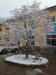 公(gōng)司環境(jing)